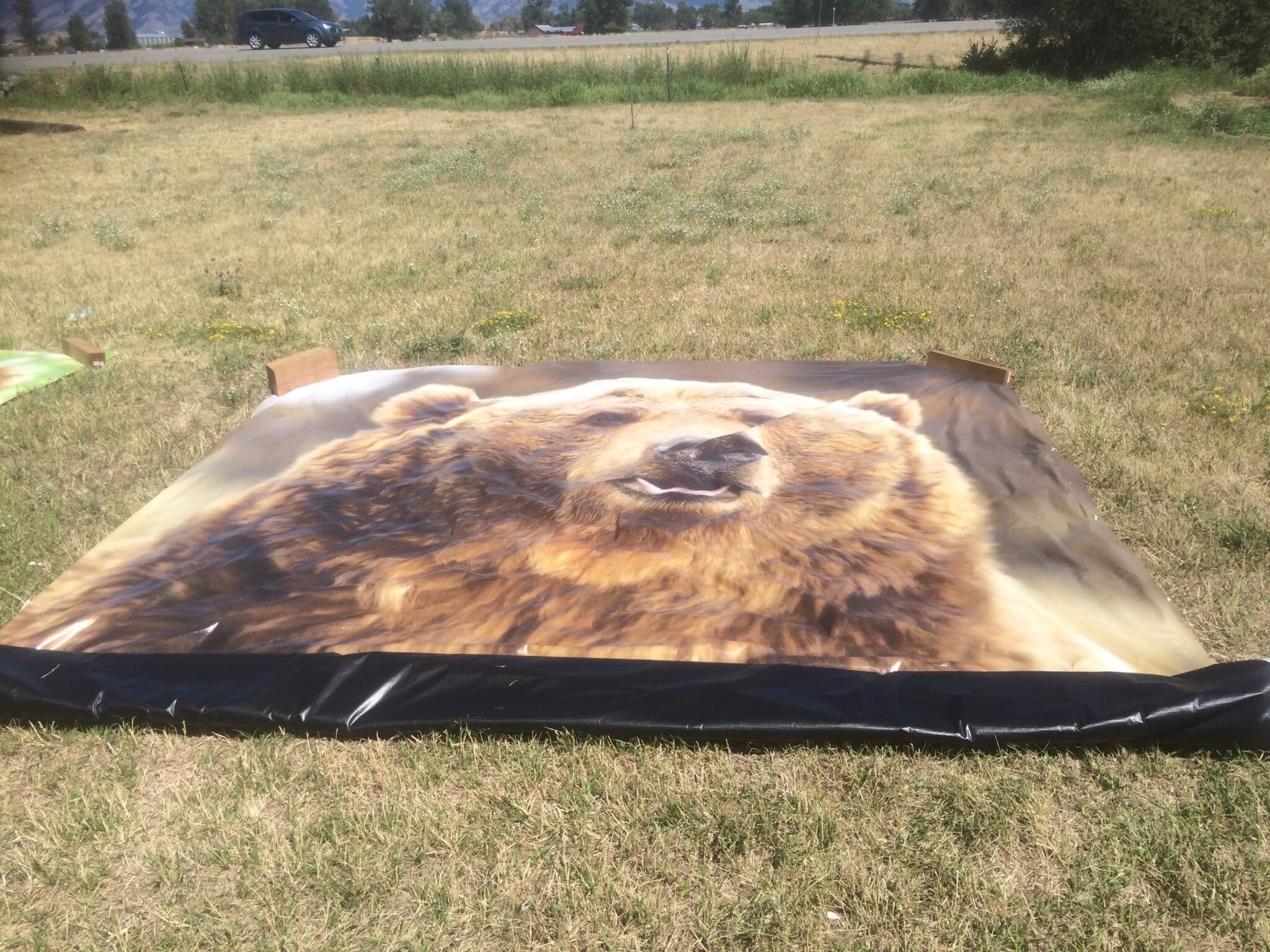 A Beartooth Signs & Design project